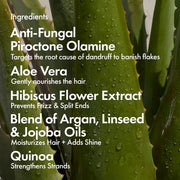 Bondi Boost Dandruff Repair Conditioner 300ml
