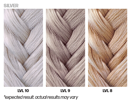 Three braided hair samples labeled LVL 10, LVL 9, and LVL 8 with a silver label above them.
