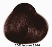 Framesi Framcolor 2001 Intense Color Chart