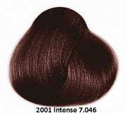 Framesi Framcolor 2001 Intense Color Chart