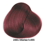 Framesi Framcolor 2001 Intense Color Chart