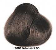 Framesi Framcolor 2001 Intense Color Chart