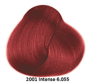 Framesi 2001 Intense Color (View Only)