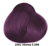 Framesi 2001 Intense Color (View Only)