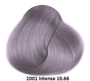 Framesi Framcolor 2001 Intense Color Chart