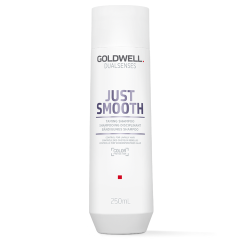 Goldwell Dualsenses Just Smooth Taming Shampoo 300ml